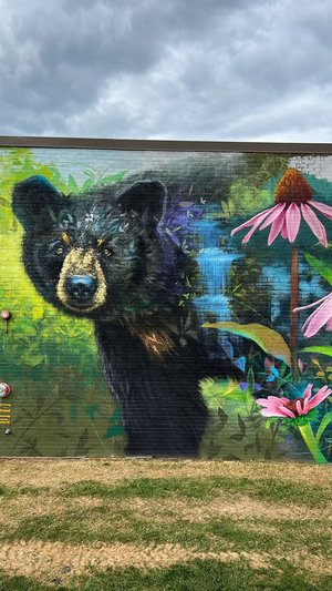A painting of a bear on a builiding